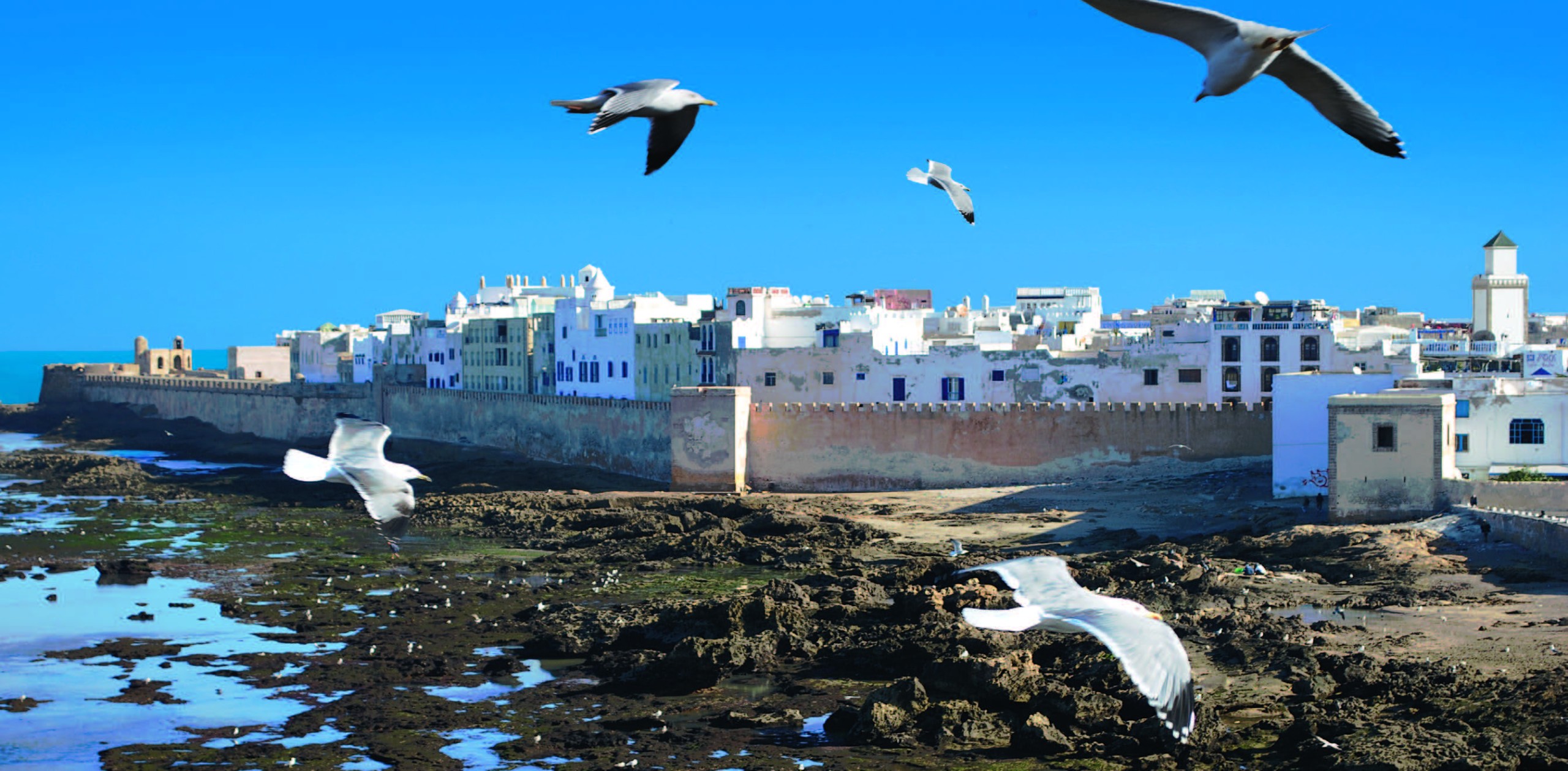 Carte Panoramique PCMR65