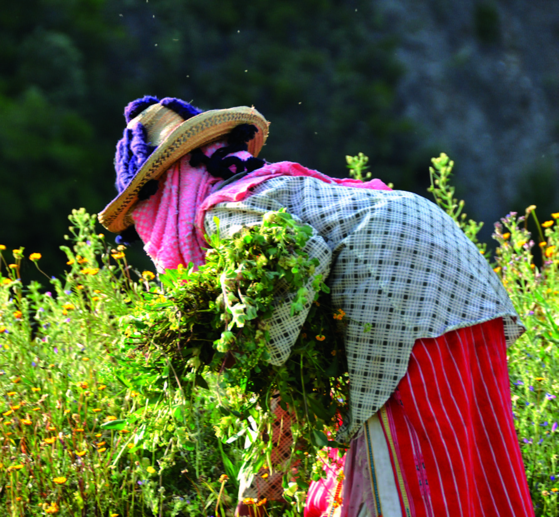 Carte Carrée TMR32